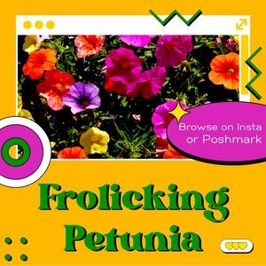 Welcome to Frolicking Petunia!!